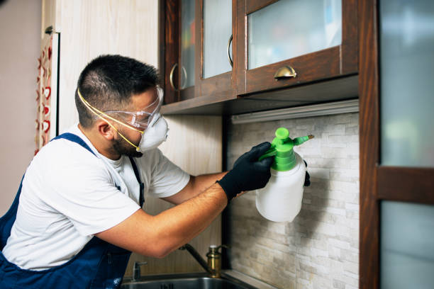 Best Best Pest Control Companies  in Lake Secession, SC