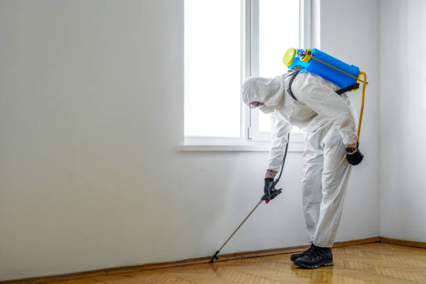 Best Pest Control Near Me  in Lake Secession, SC