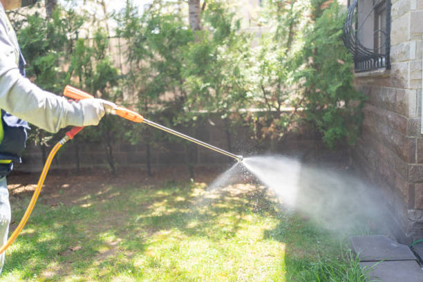 Best Local Pest Control Services  in Lake Secession, SC