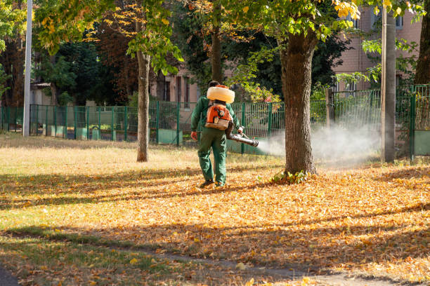 Best Residential Pest Control  in Lake Secession, SC