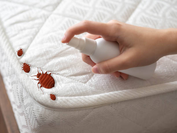 Best Mosquito Control Services  in Lake Secession, SC
