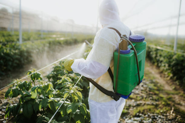 Best Pest Prevention Services  in Lake Secession, SC